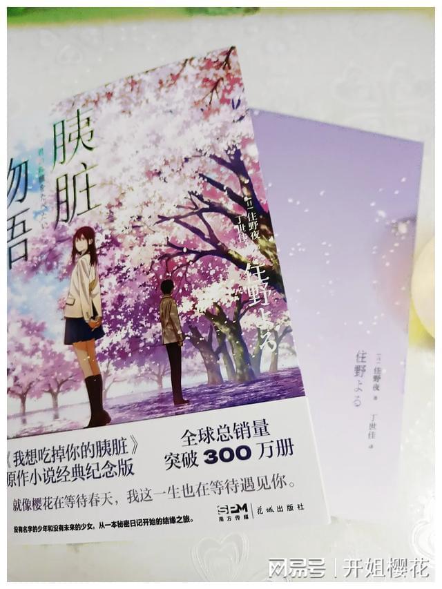 创作猫